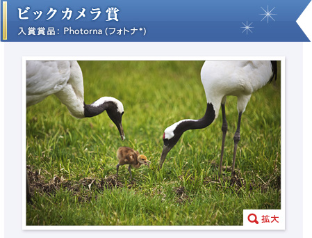 rbNJ