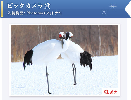 rbNJ