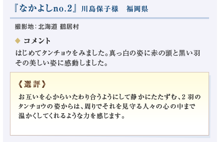 uȂ悵no.2v쓇ێql@BenFkC@ߋ