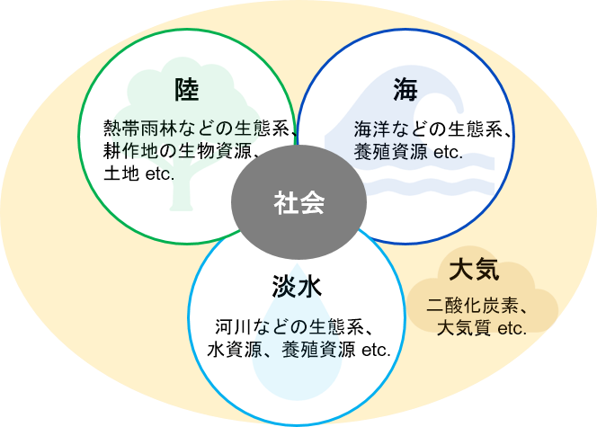 淡水:河川などの生態系、水資源、養殖資源 etc. 海:海洋などの生態系、養殖資源 etc. 陸:熱帯雨林などの生態系、耕作地の生物資源、土地 etc. 大気 二酸化炭素、大気質 etc.