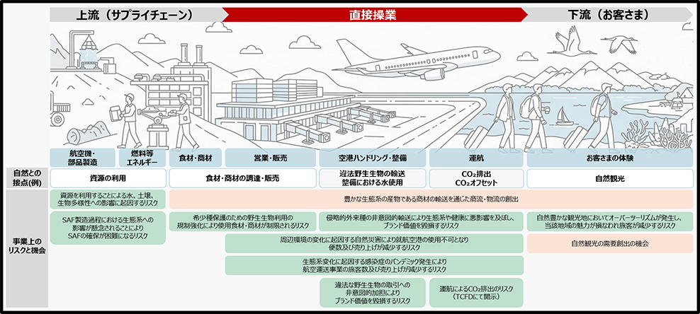 航空事業におけるバリューチェーン上の自然との接点、事業上のリスクと機会の例の図