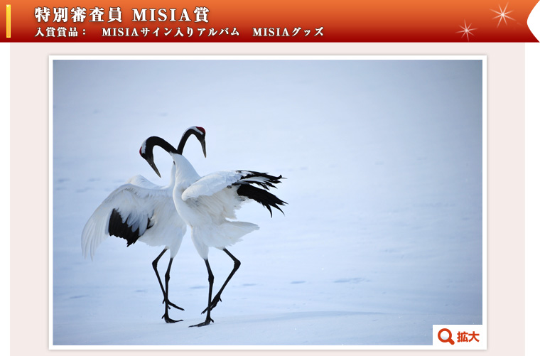ʐR@MISIA