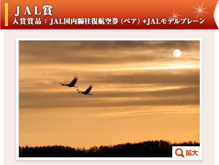 JAL
