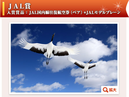 JAL