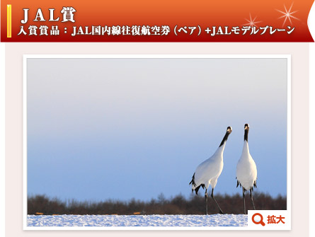 JAL