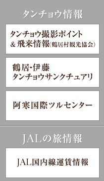 ^`E@JAL̗