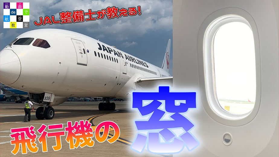動画へのリンク