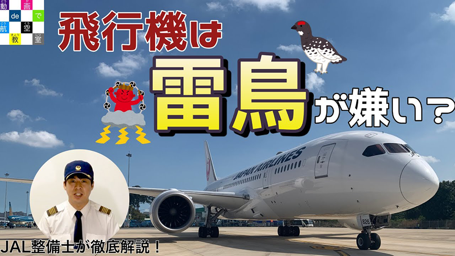 動画へのリンク
