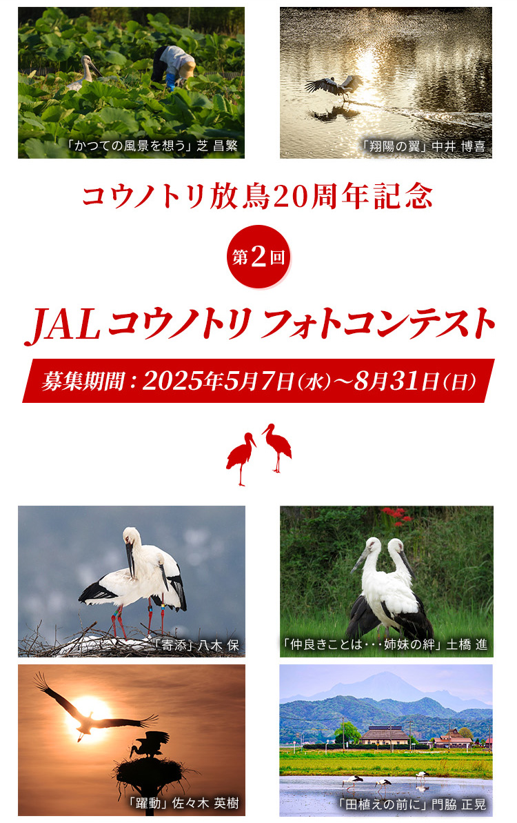 コウノトリ放鳥20周年記念第2回JALコウノトリフォトコンテスト 募集期間：2025年5月7日(水)～8月31日(日)