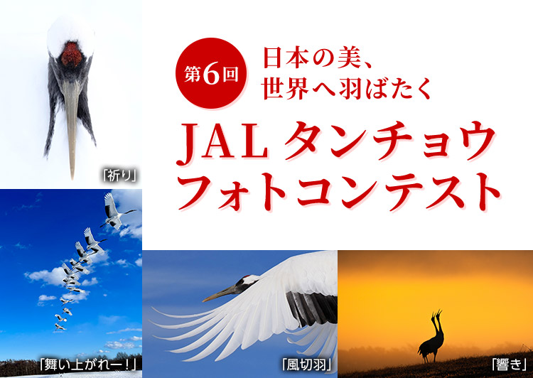 日本の美、世界へ羽ばたく 第6回JALタンチョウフォトコンテスト
