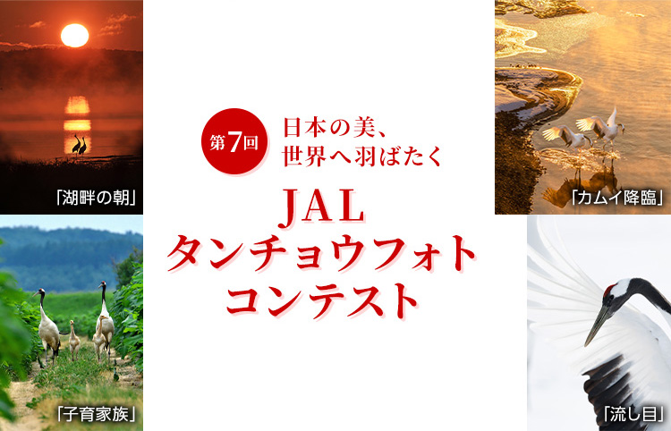 日本の美、世界へ羽ばたく 第7回JALタンチョウフォトコンテスト