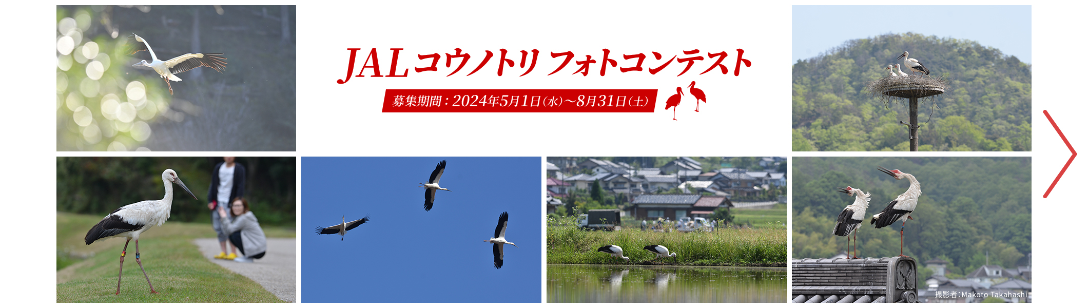 JALコウノトリフォトコンテスト