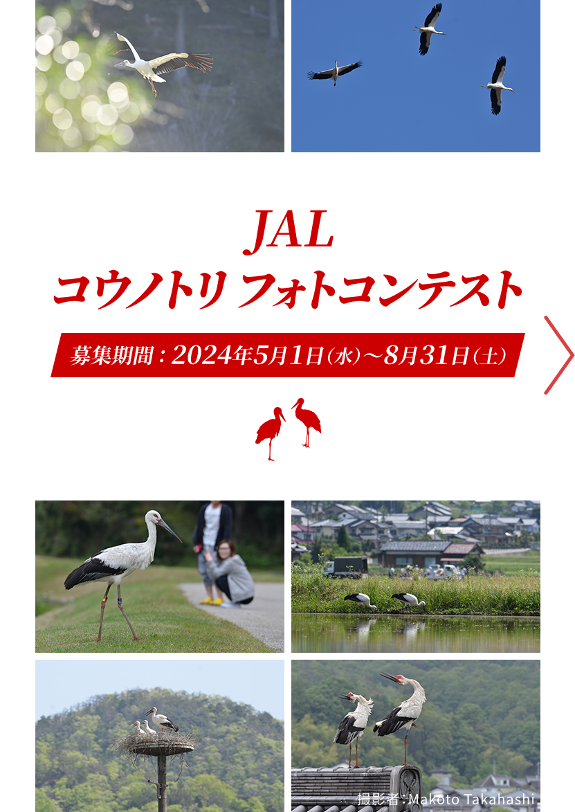 JALコウノトリフォトコンテスト