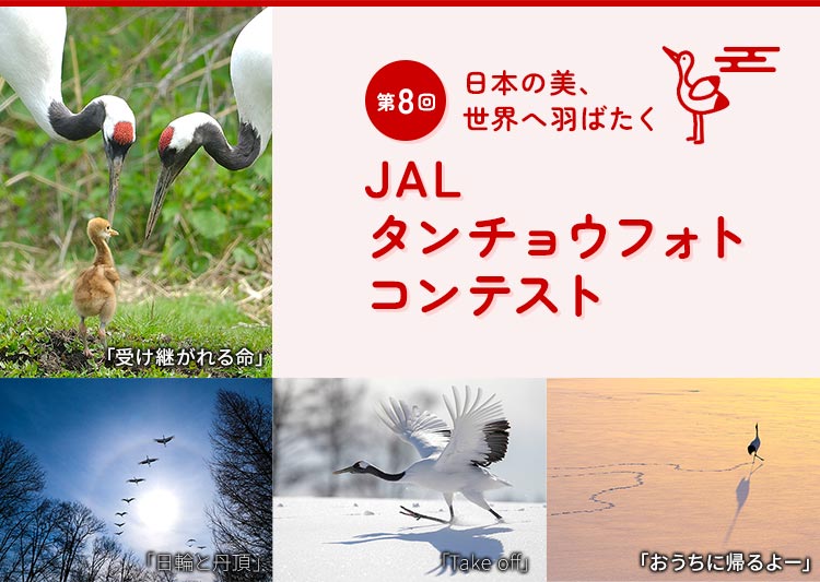 日本の美、世界へ羽ばたく 第8回JALタンチョウフォトコンテスト
