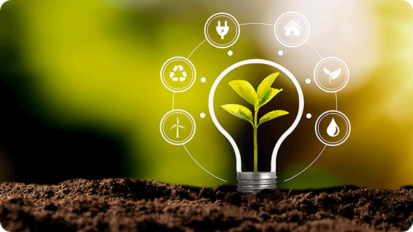 A light bulb containing a plant placed on soil, representing an environmentally conscious initiative.