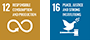 RESPONSIBLE CONSUMPTION AND PRODUCTION, PEACE, JUSTICE AND STRONG INSTITUTIONS