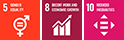 GENDER EQUALITY, DECENT WORK AND ECONOMIC GROWTH, REDUCED INEQUALITIES