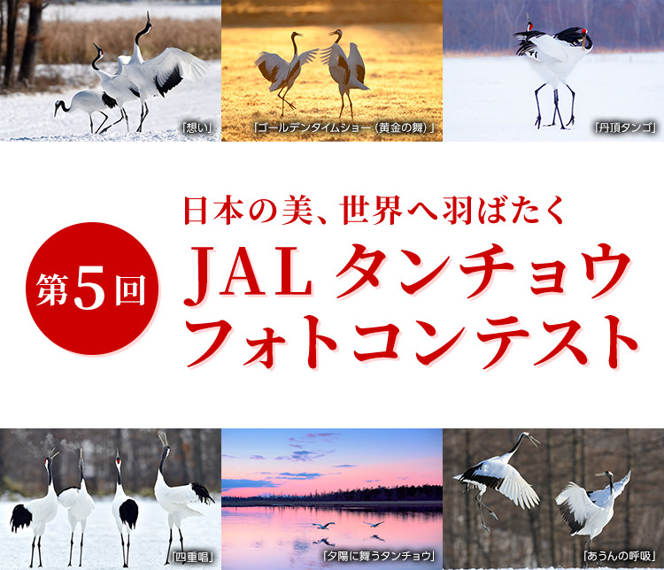 日本の美、世界へ羽ばたく 第5回JALタンチョウフォトコンテスト